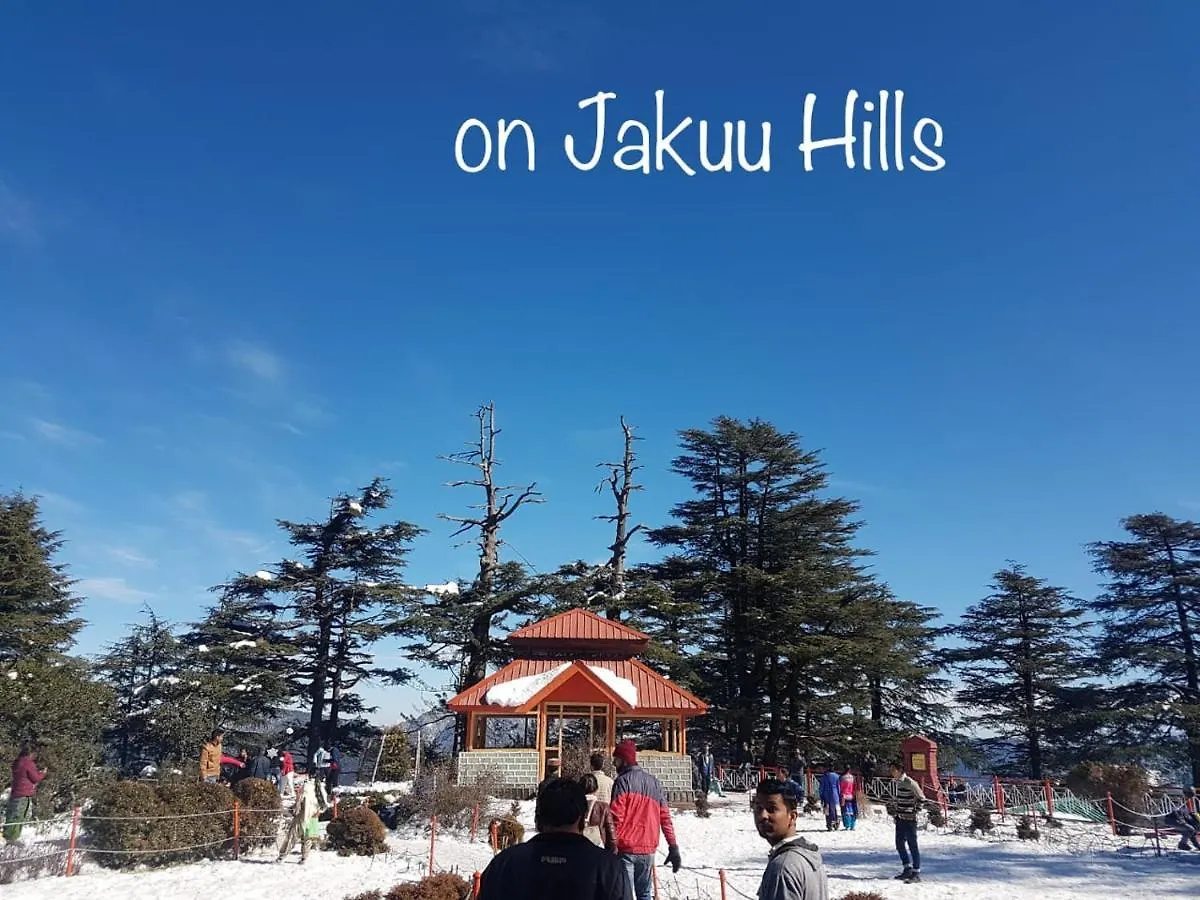Bed & Breakfast Sai Cottage Shimla