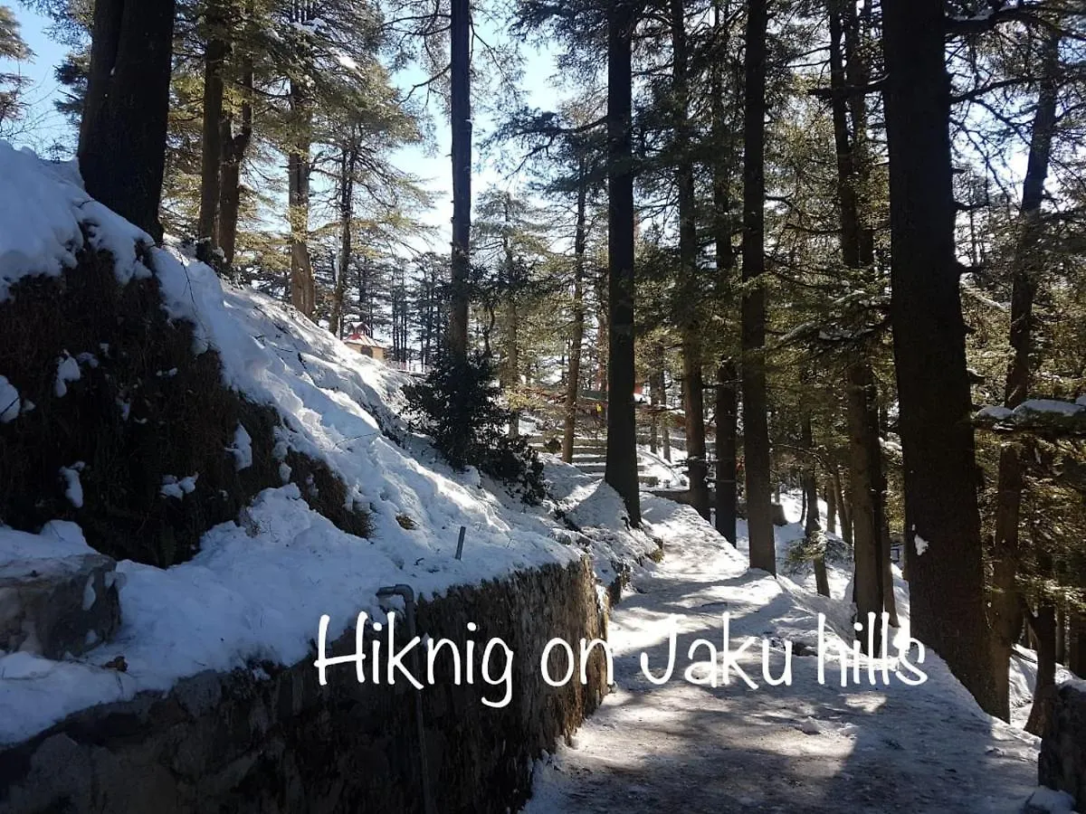 Sai Cottage Shimla Bed & Breakfast